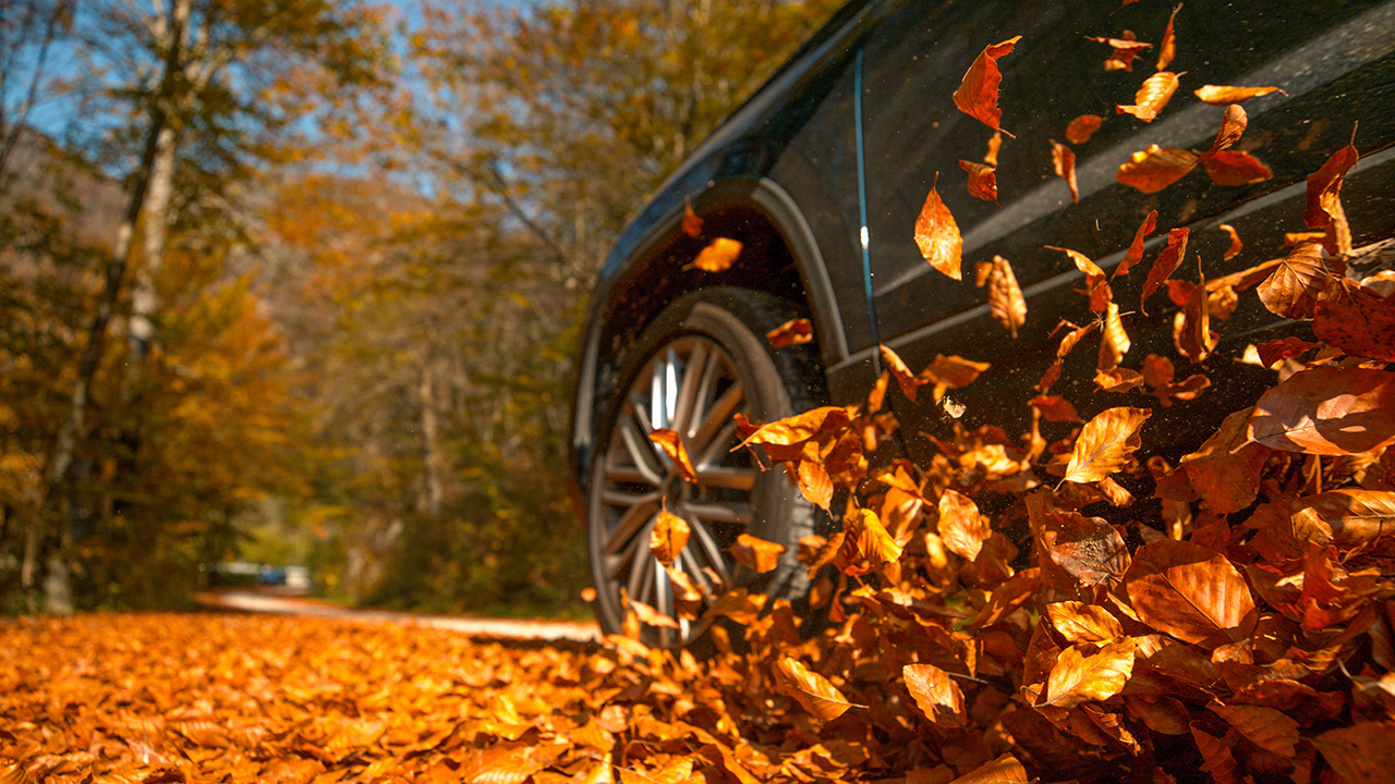 SUV driving through leaves